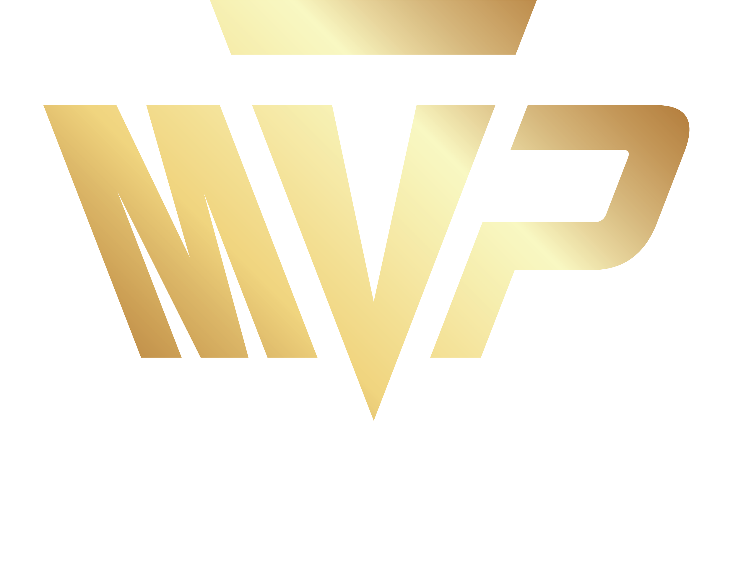 VT-MVP-Logo-09